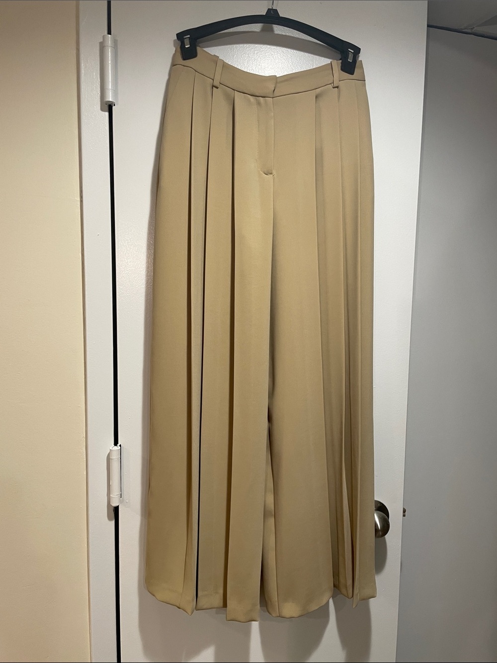 Zara Wide-Leg Pleated Maxi Skirt Pant in Beige